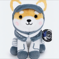 Asteroid The Space Shiba Inu