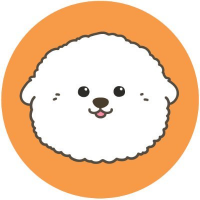 BICHON TOKENT 