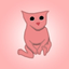 Bingus The Cat