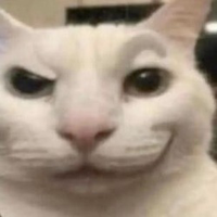 catty