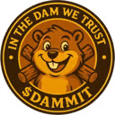 DAM IT