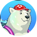 Greenland Rare Bear