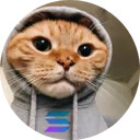 Hood Cat