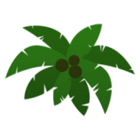Jungle