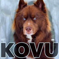 Kovu