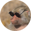 MOST ELEGANT MONKEY EVER