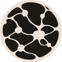 Mycelium Finance