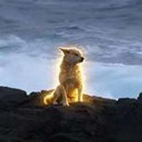 마라도의 파수꾼