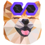 Polygon BabyDoge