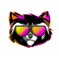 Rocket Raccoon V2