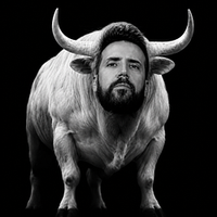 The White Bull