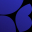 BiorBank