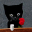 bro the cat