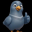 CityPigeon