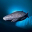Greenland Shark