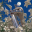 Knight Core