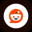 Reddit Tokenized Stock - Reality