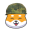Shib Army