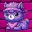 Solpaca