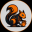 Squirrel Wif Nut