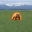 The Mercy Of The Bear