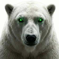 White Polar Bear